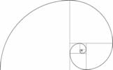 Image:Fibonacci spiral.svg